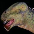 Dinosaurlover40